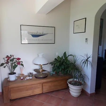 Apartment Luna