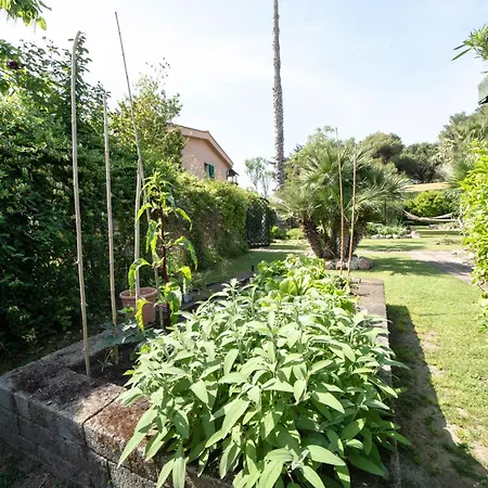 Luna Apartment Magazzini (Tuscany)